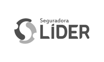 seguradora lider